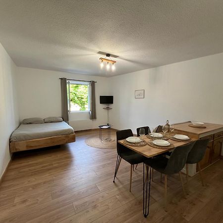 Ferienwohnung "Le Caneton" Studio Hyper Centre Tout Equipee Sarlat Exterior foto